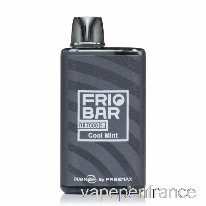 Freemax Friobar Db7000 Stylo Vape Jetable à La Menthe Fraîche